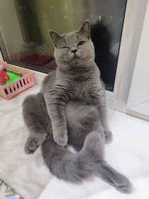 Буся, 1 год, г. Зея