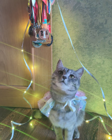 Мира, 11 месяцев. г. Благовещенск