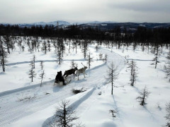 эвенки день оленевода