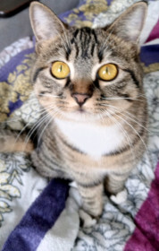 Буся, 3 года