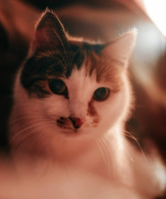 Бусинка, 8 лет. г. Зея