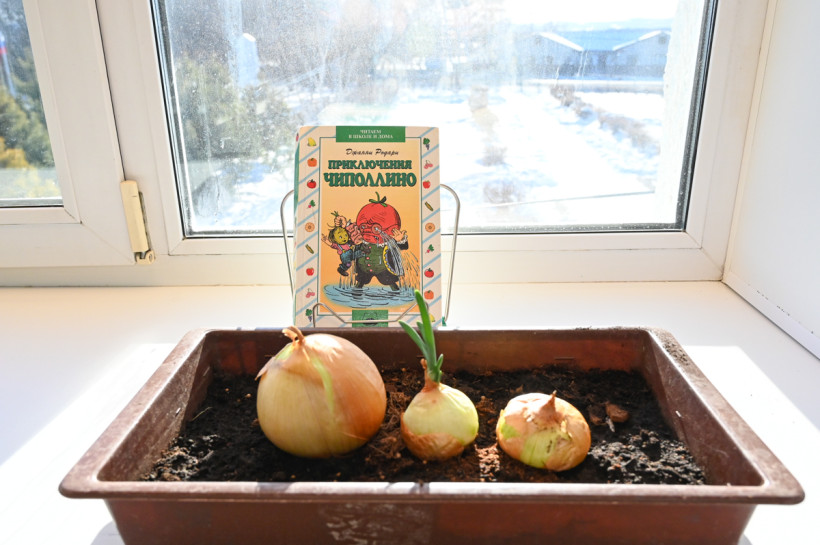 модельная библиотека в марково