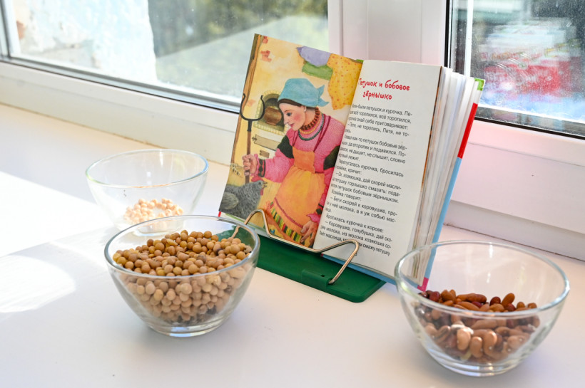 библиотека в марково