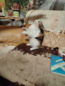 Люся, 7 месяцев