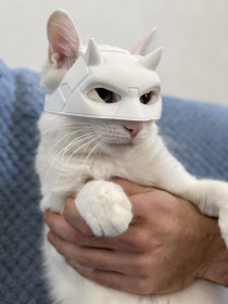 Себастьян, г. Свободный