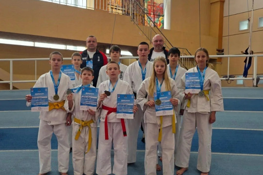 всестилевое карате единоборства