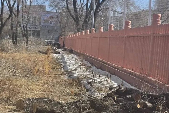 алексеевская гимназия забор ограждение благоустройство озеленение