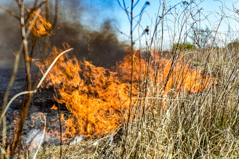 пал палы пожар