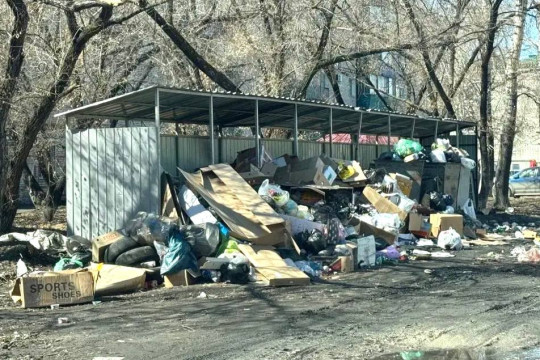 мусор тко регоператор