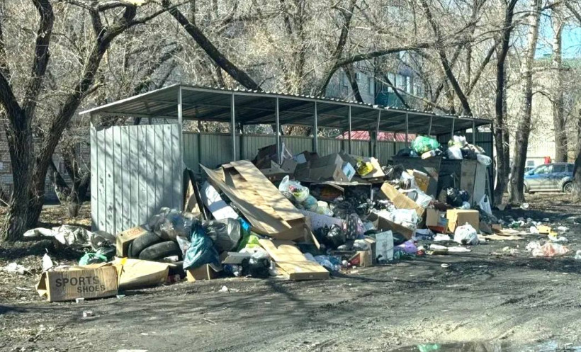 мусор тко регоператор