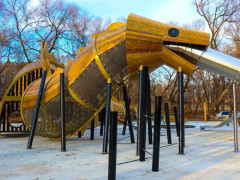 амурский лес парк 40 лет ВЛКСМ благоустройство