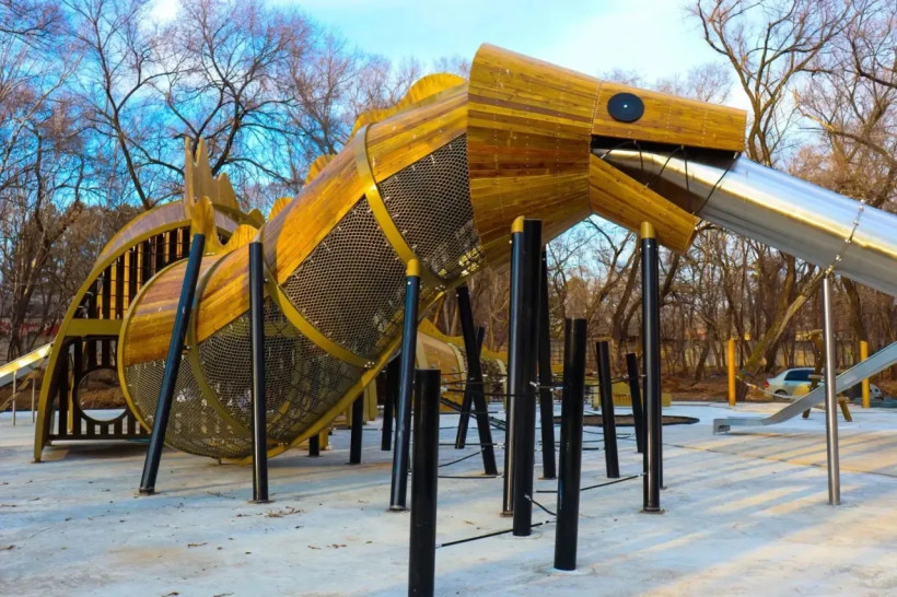 амурский лес парк 40 лет ВЛКСМ благоустройство