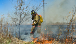 4 из 6 поджигателей травы — дети: губернатор велел провести в амурских школах 15-минутки безопасности
