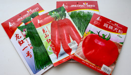 Чем амурским огородникам полюбились китайские семена и почему Россельхознадзор пресекает их ввоз