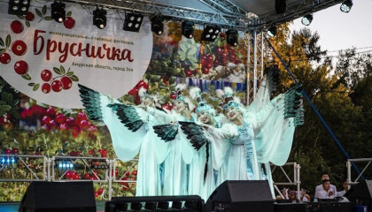 таежная брусничка зея