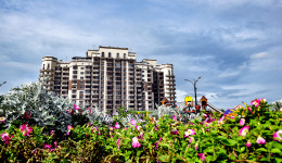 Как превратить Благовещенск в город-сад: «Амурская правда» узнала стратегию озеленения столицы региона