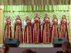 земский работник культуры