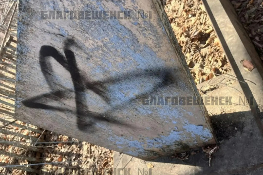 хулиганство вандализм вознесенское кладбище осквернение могил памятников