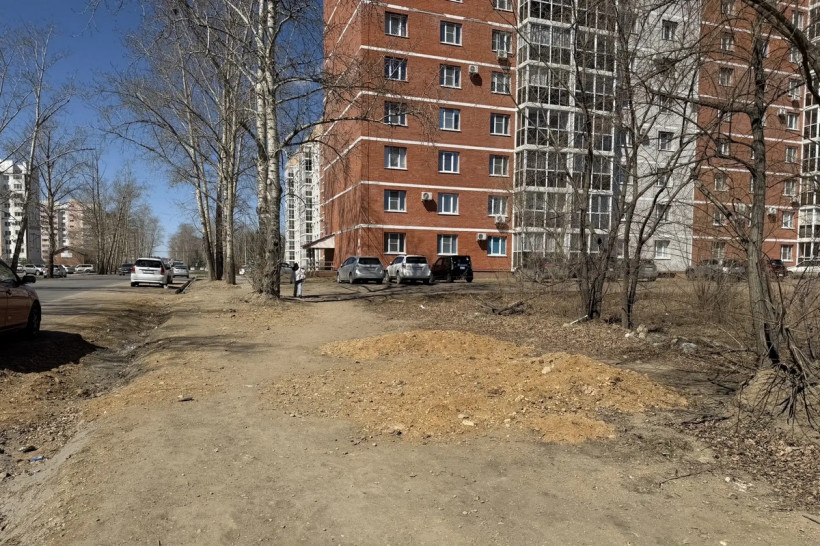 улица Шафира