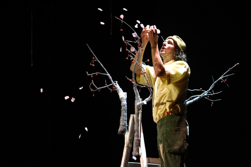 эхо бдф спектакль бдф