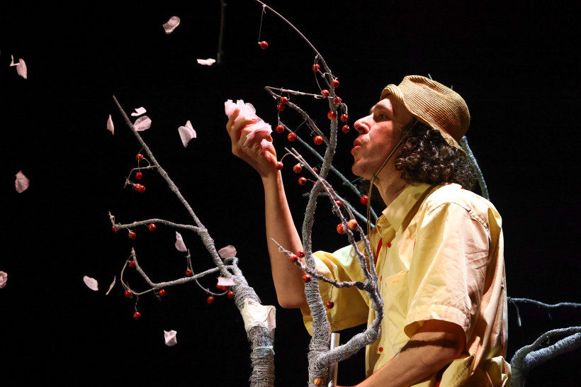 спектакль бдф большой детский спектакль