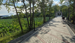 В честь креветки: жители Прогресса назвали обновленный по нацпроекту сквер у дамбы «Чилим-парком»