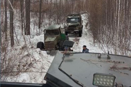 незаконное строительство дорог в заповедной зоне