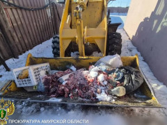 биологические отходы скот забой животных