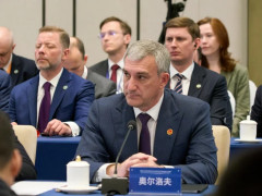 заседание межправительственной российско-китайской комиссии по сотрудничеству и развитию Дальнего Востока РФ и Северо-Востока Китайской Народной Республики