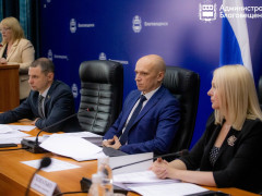 благовещенская городская дума