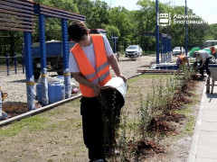 подработка школьники подростки озеленение гстк