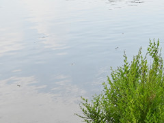 река утонувшие водоем