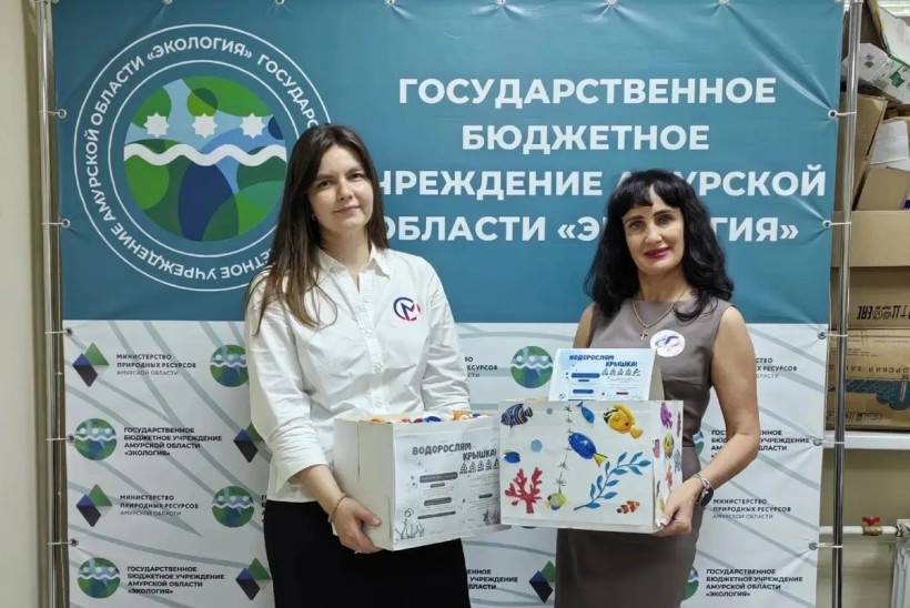 водорослям крышка