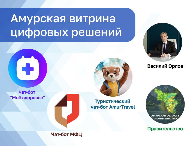 Амурская витрина цифровых решений