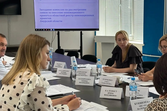 разработки реестр инновационных проектов