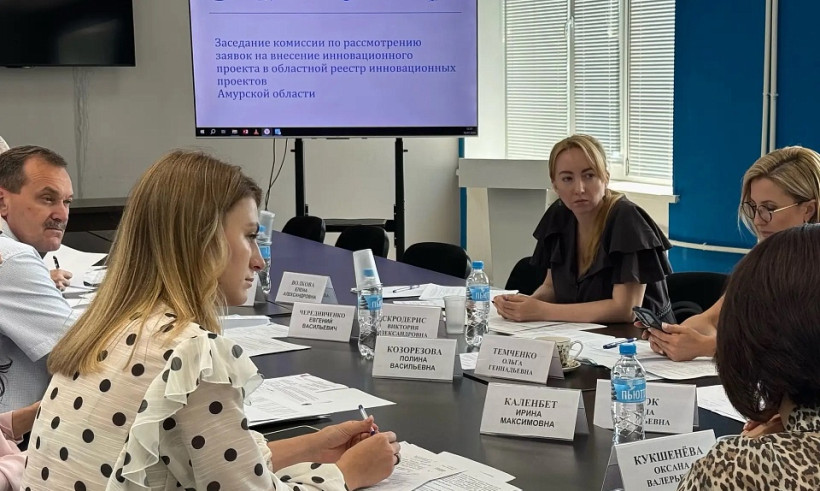 разработки реестр инновационных проектов