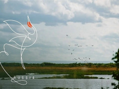 туристический логотип приамурья японский журавль Discover Russia