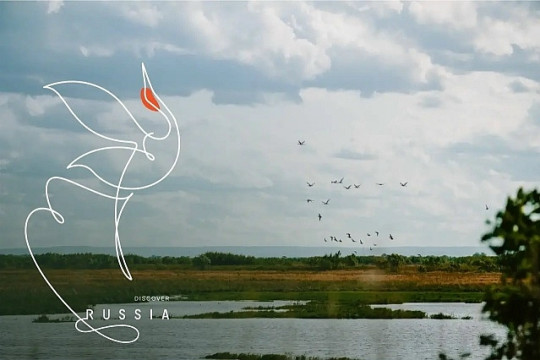 туристический логотип приамурья японский журавль Discover Russia