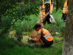трудоустройство работы школьники подростки подработка