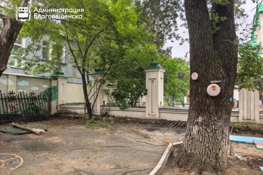 детсад благоустройство