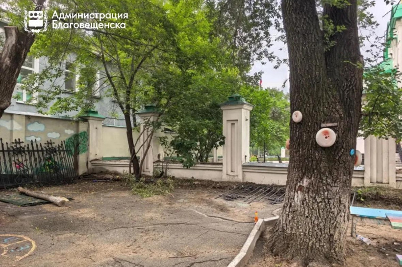детсад благоустройство