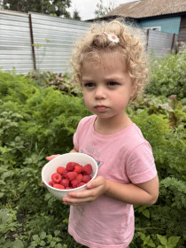 Ягода малина нас к себе манила