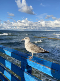 Море бушует на западе страны