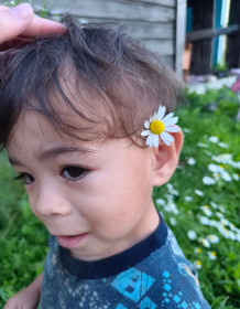 Раз ромашка 🌼