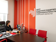 Центр кредитной поддержки предпринимательства Амурской области