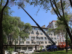 Капремонт дом крыша