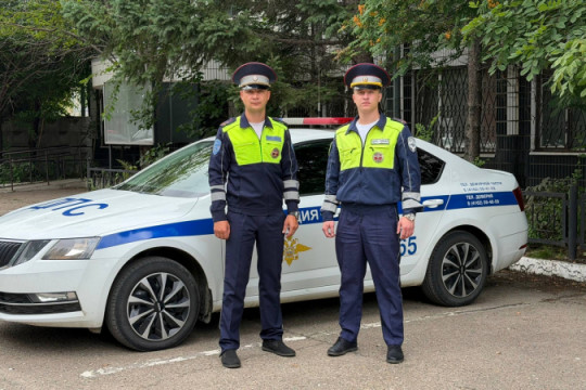 полицейские дпс госавтоинспекция