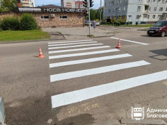 школьные маршруты