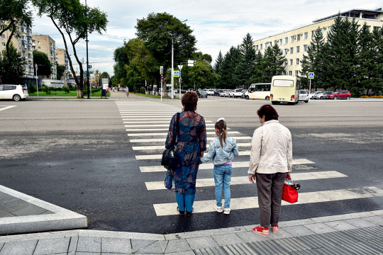 пешеходный переход зебра пешеход семья ребенок пдд