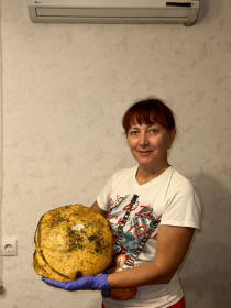 Грибная тюбетейка, г. Благовещенск